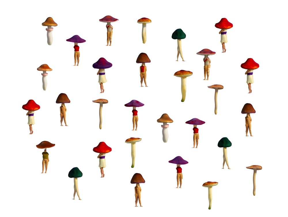 Gathering of Whimsical Mushroom Folk - Quirky Creature
