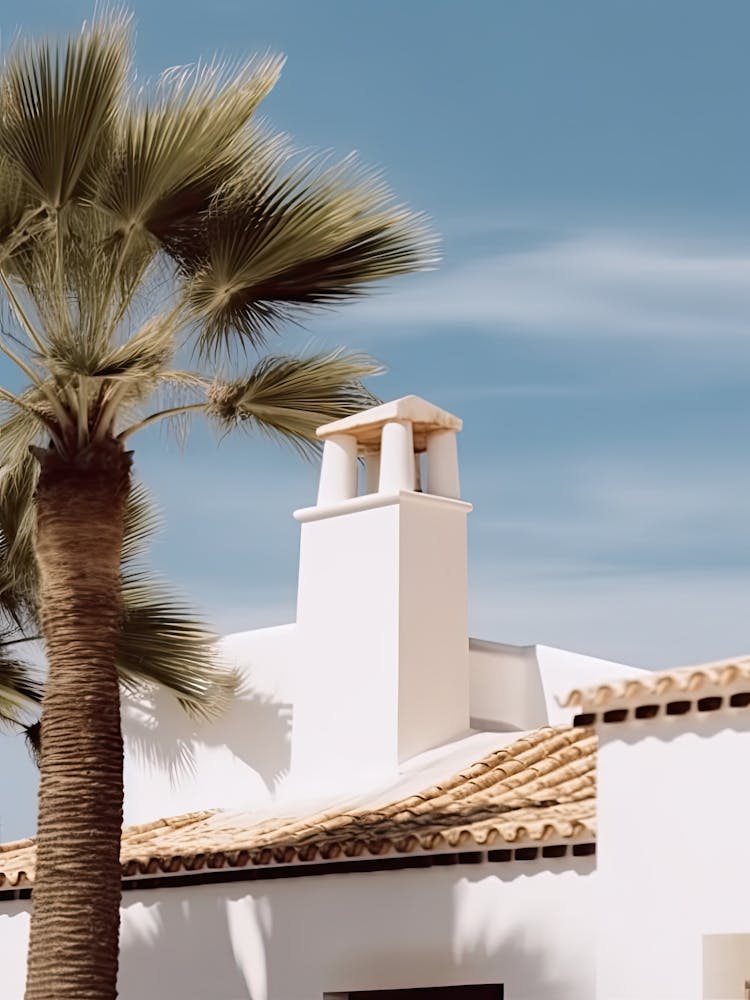 White House With Palms Retro Summer Photography 0