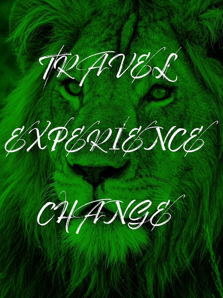 Travel Experience Change