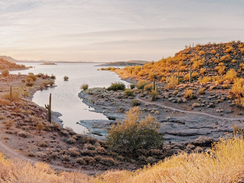 Desert Lake Sunrise