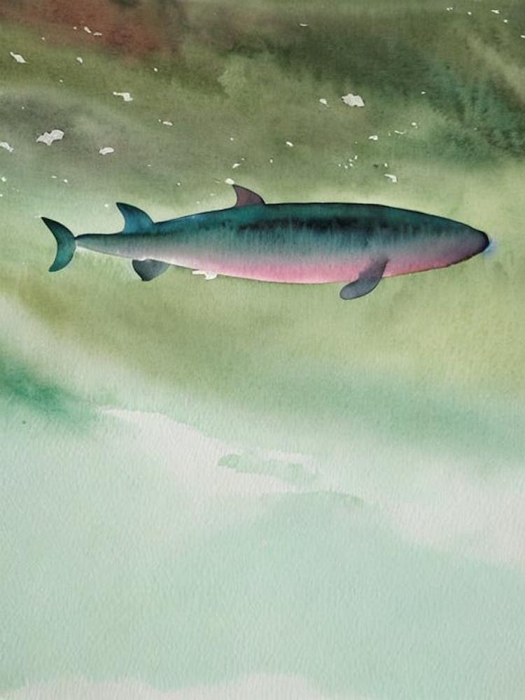 Sperm Whale Storybook Watercolour