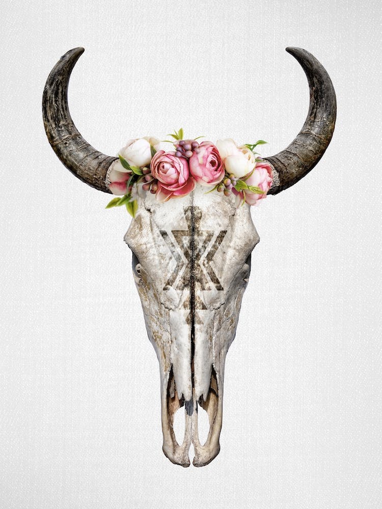 Floral Cow Skull