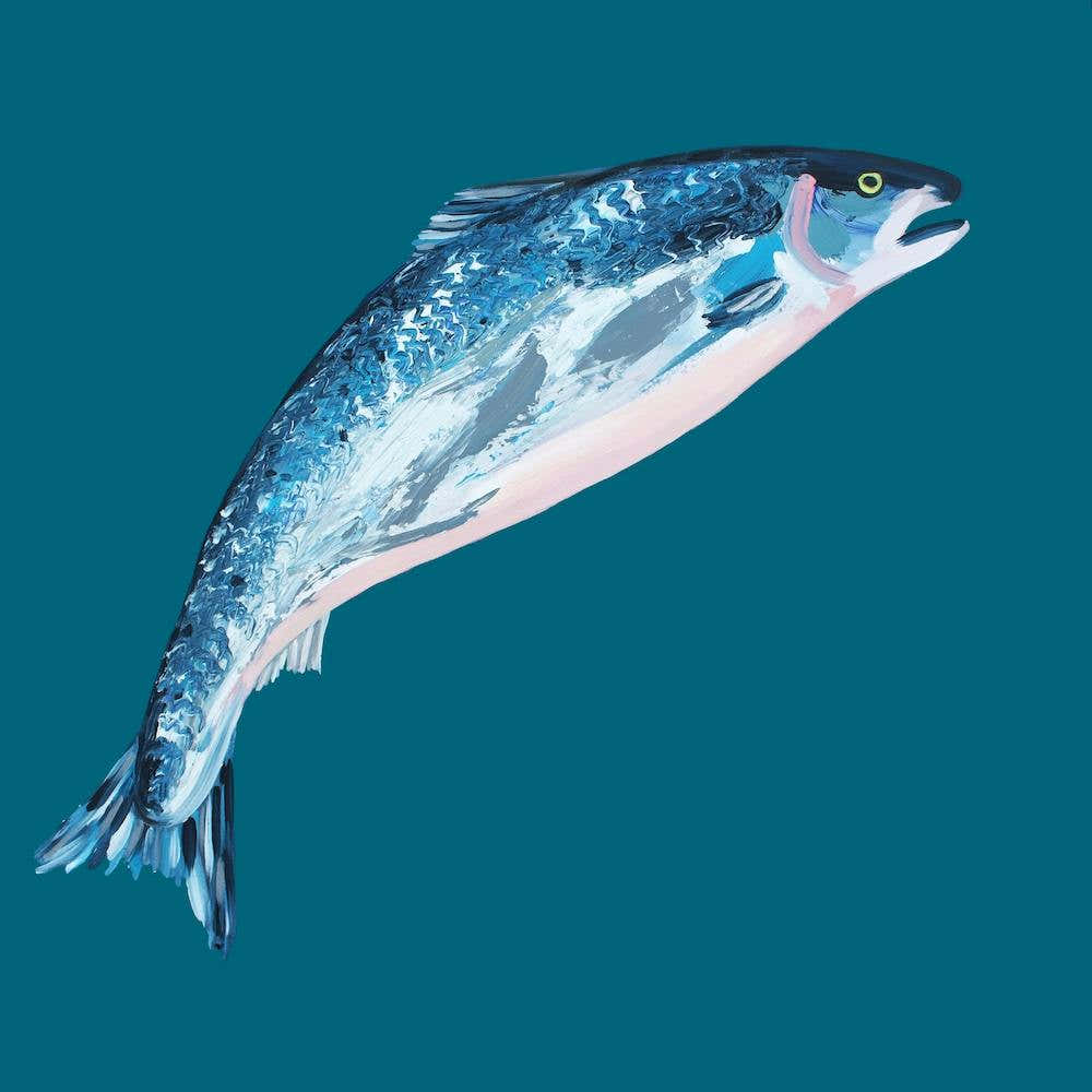 Leaping Salmon Square