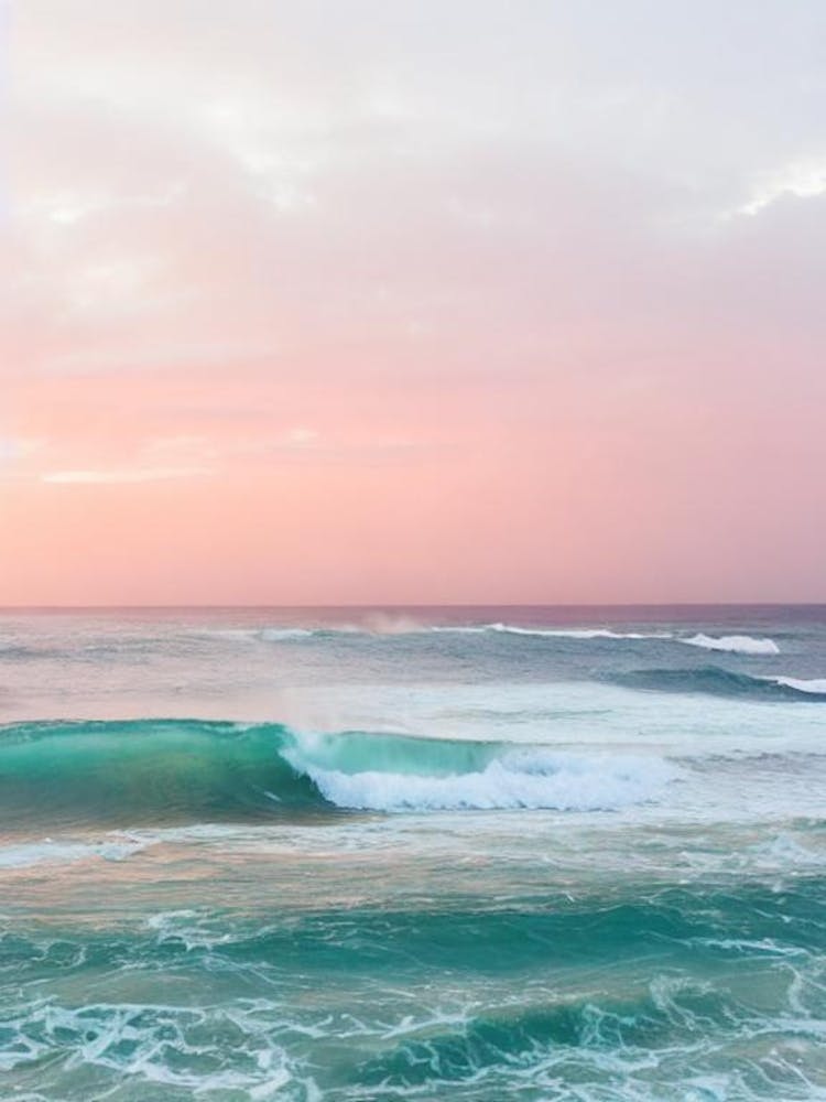 Bathsheba Beach, Barbados Rosa Fotografie 1