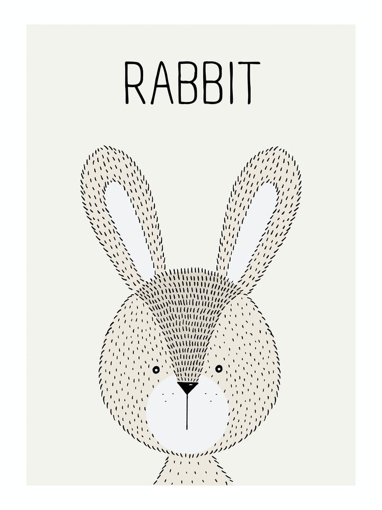 Rabbit
