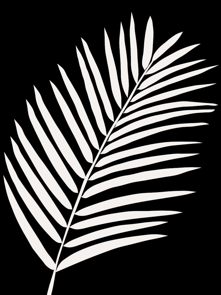 Feuille de Palmier Tropicale Noir et Blanc