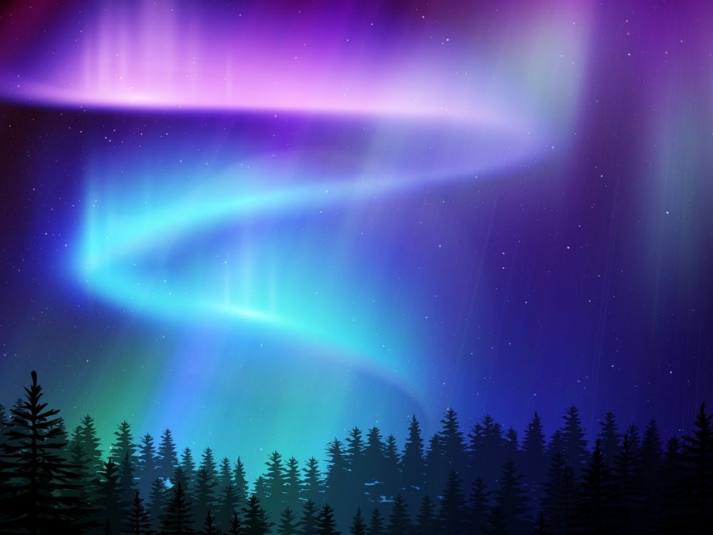 Aurora neon landscape #8
