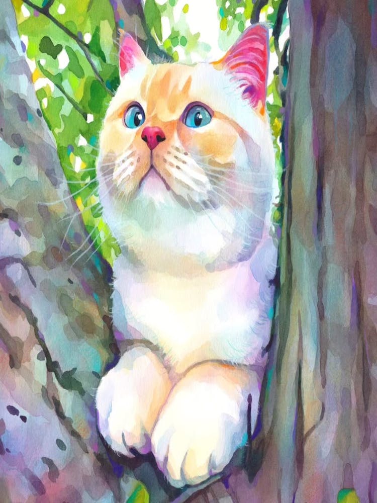 Cat In The Tree