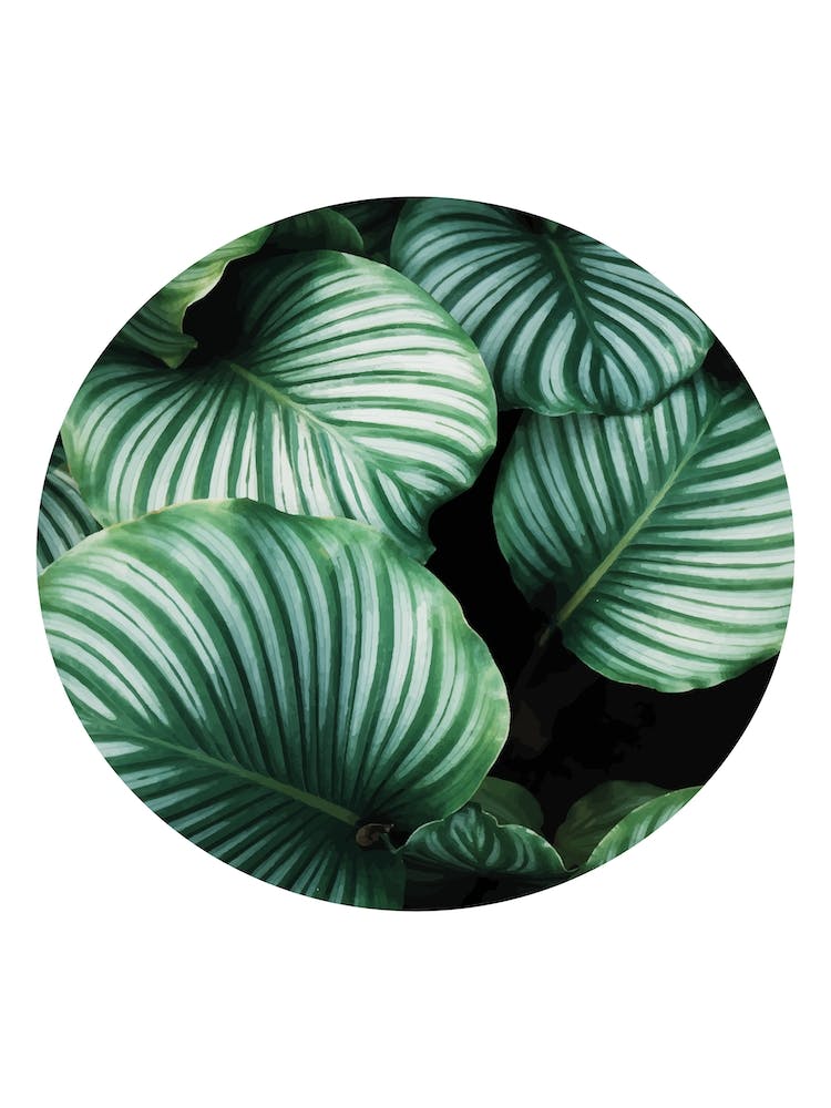 Green Leaf Circle
