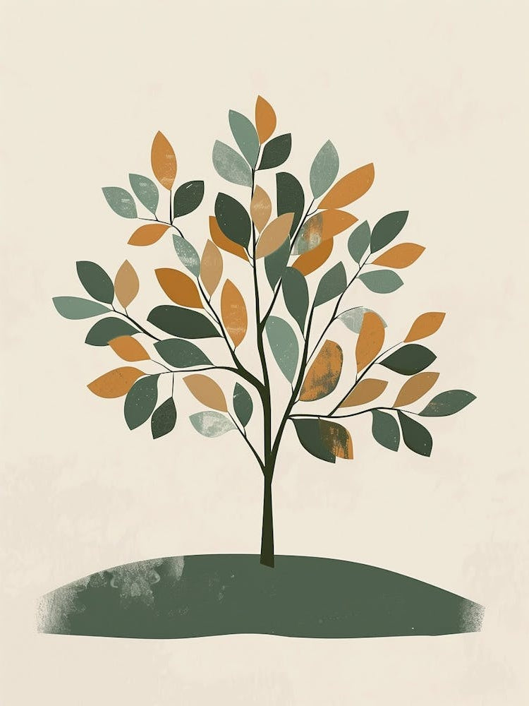 Chestnut Tree Minimal Japandi Illustration 1