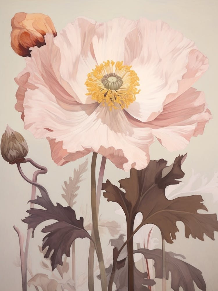Floral Illustration Poppy 3
