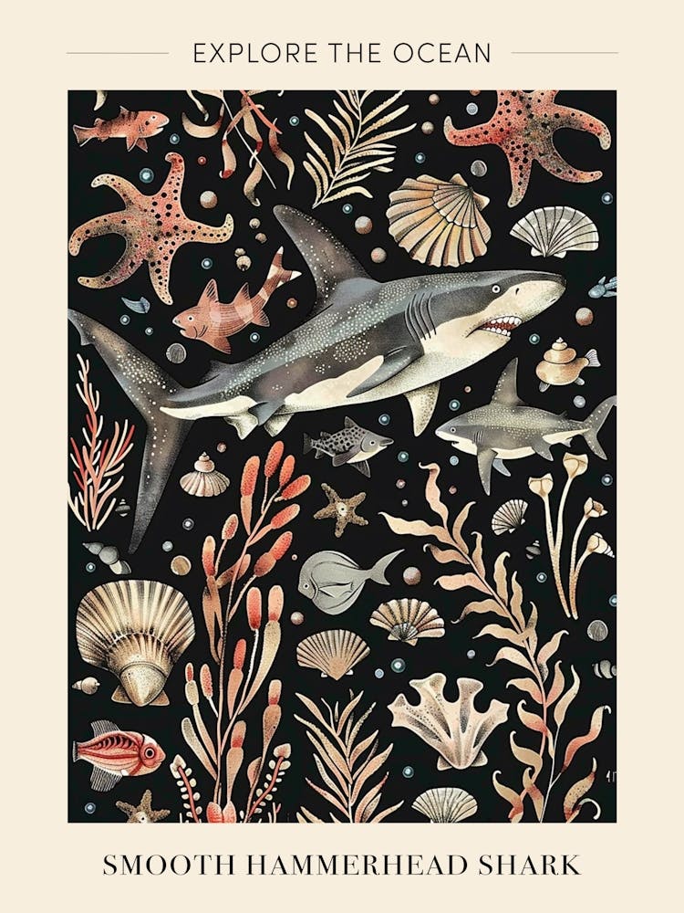 Smooth Hammerhead Shark Black Background Illustration 4 Poster