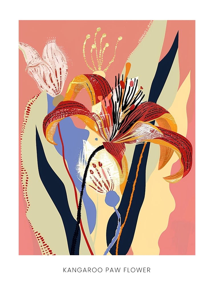 Affiche Illustration Fleur Colorée Fleur Patte de Kangourou 1
