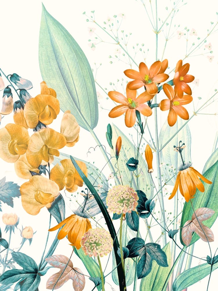 Wildflowers2