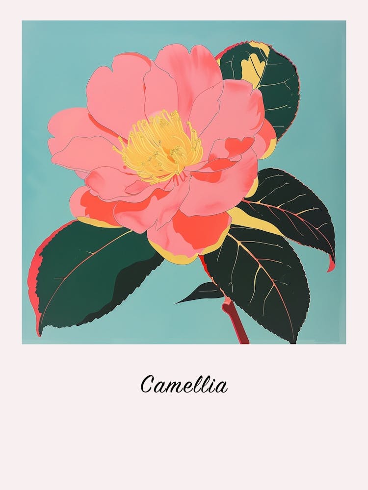 Camellia 3 Square Flower Illustration Poster