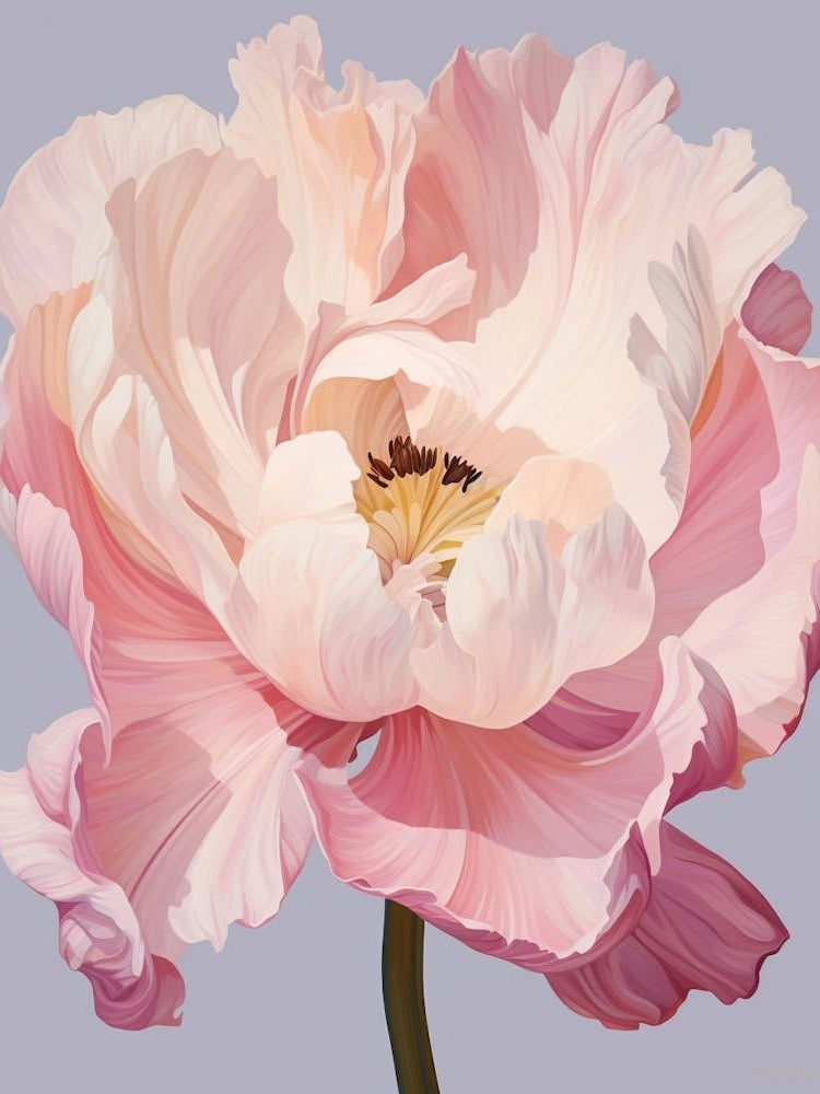 Floral Illustration Tulip 1