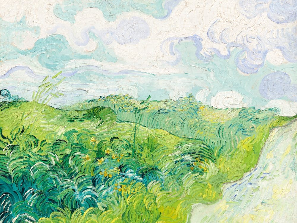 Green Wheat Fields, Auvers, Vincent Van Gogh