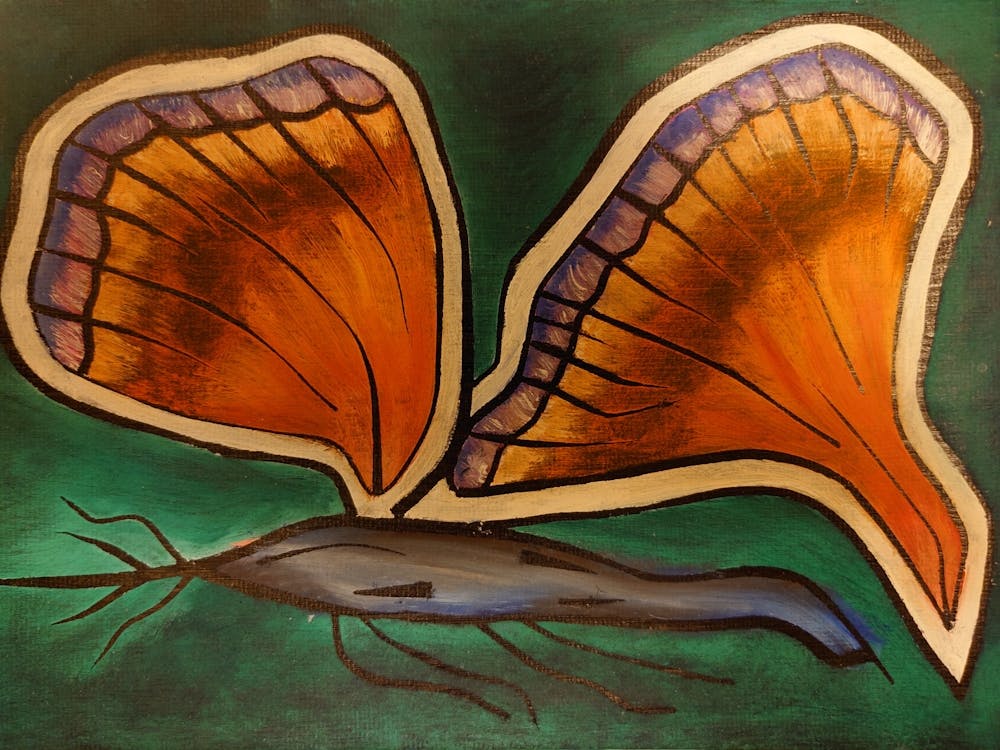 Butterflies 1000002323