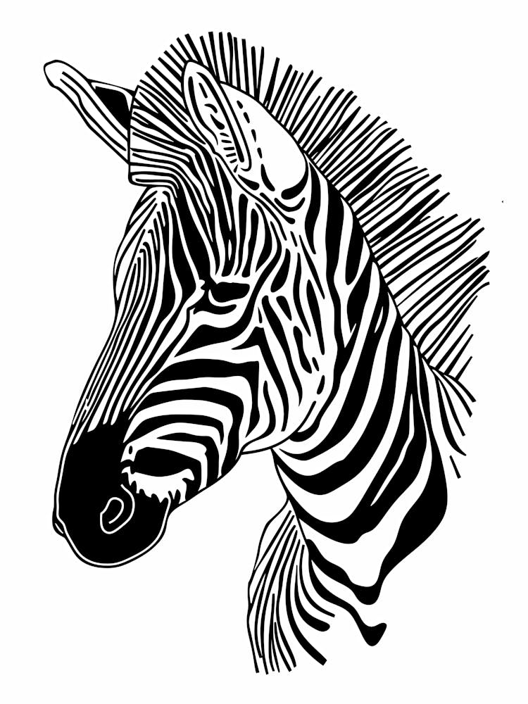 Zebra Head animal lines art