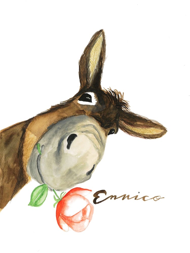 Enrico
