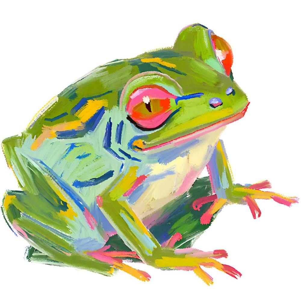Red Eyed Tree Frog 02