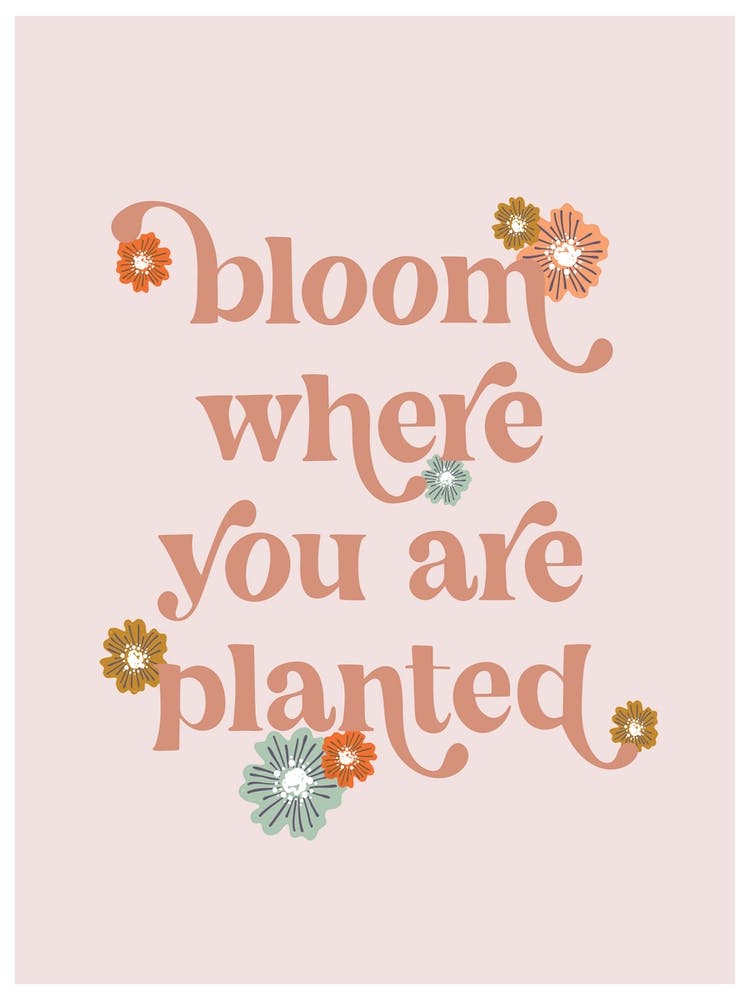 Bloom where you are planted boho flowers