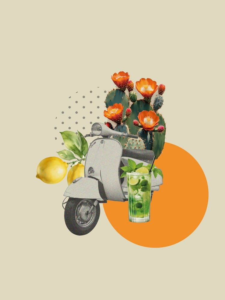 Scooter Collage