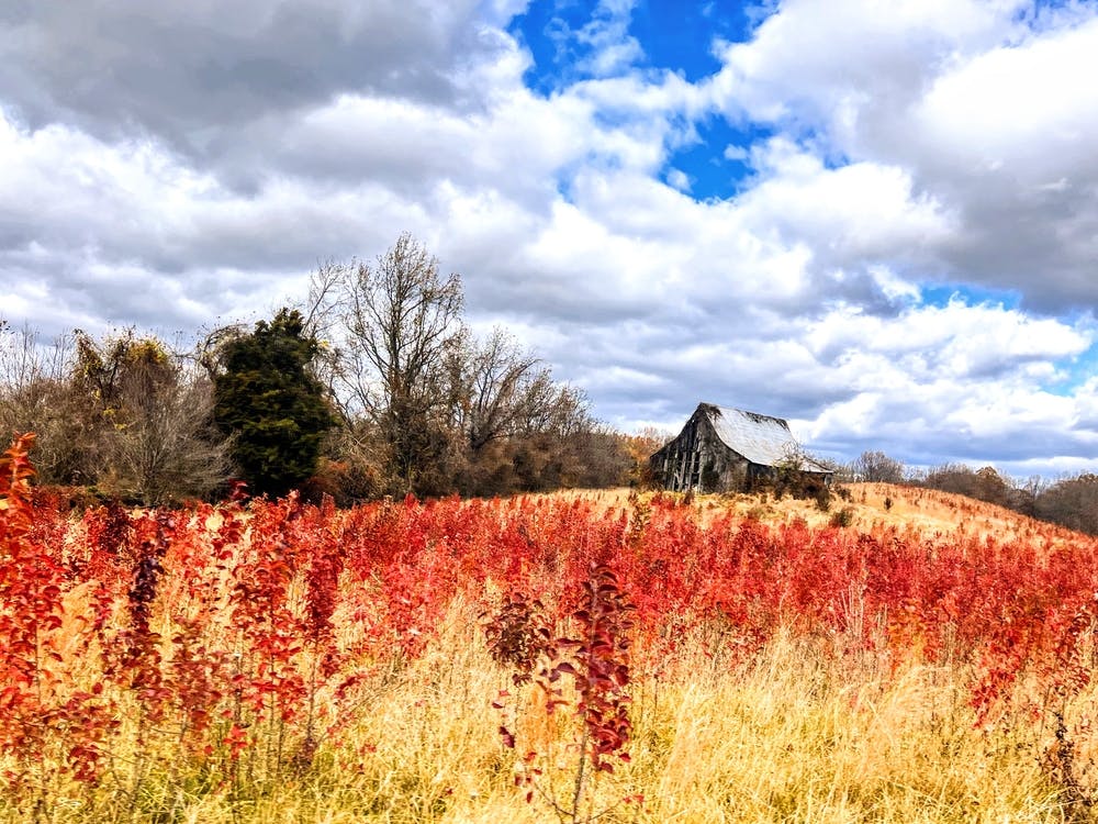 Barn On Westphalia In Gorgeous Prince Georges