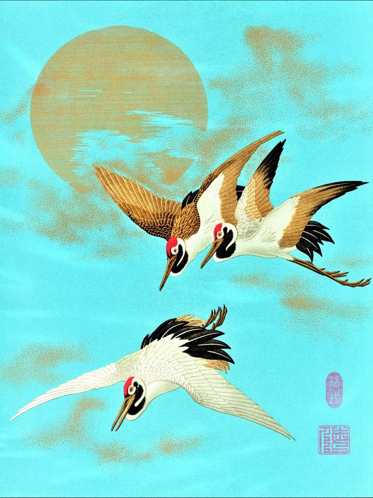 Three Sarus Crane Flying in front of the Moon by G A Audsley (1884)