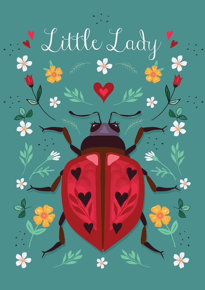 Little Lady Ladybird
