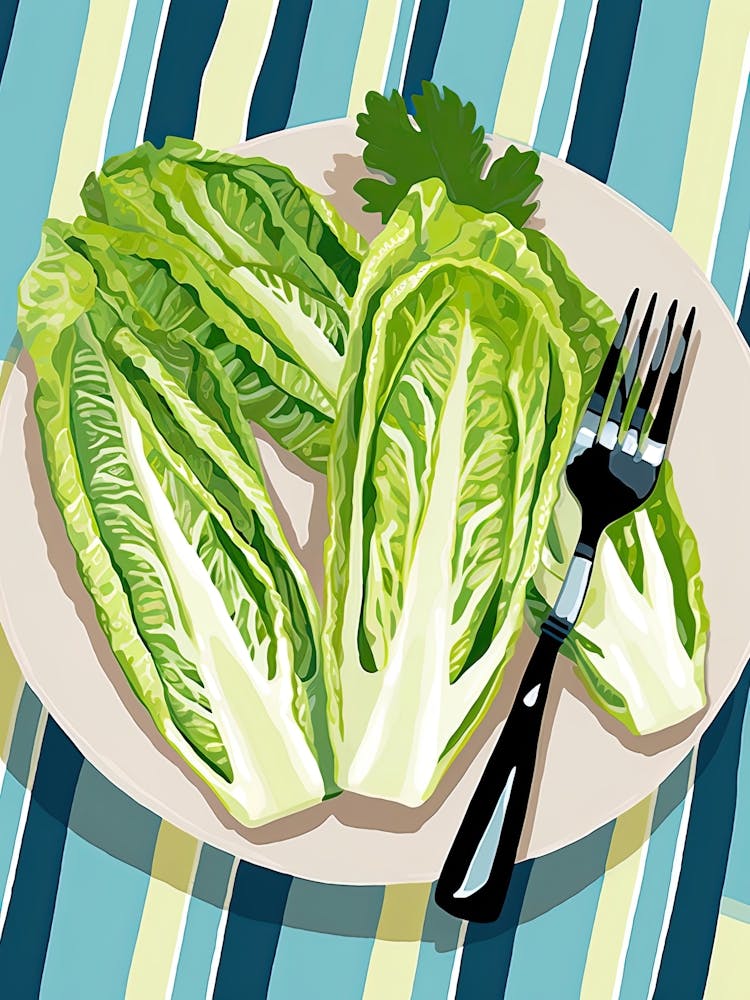 Endive Summer Illustration 7