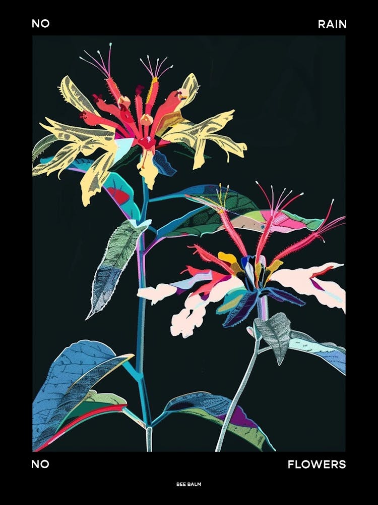No Rain No Flowers Affiche Bee Balm 1