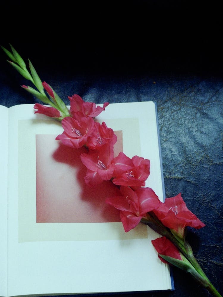 Malewitsch And Flower
