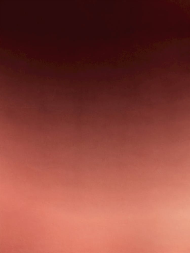 Late Autumn Afternoon - 02