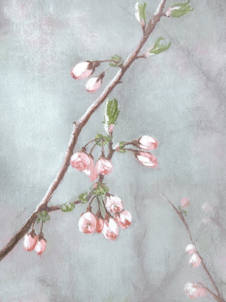 Blossom, Aga Szafranska