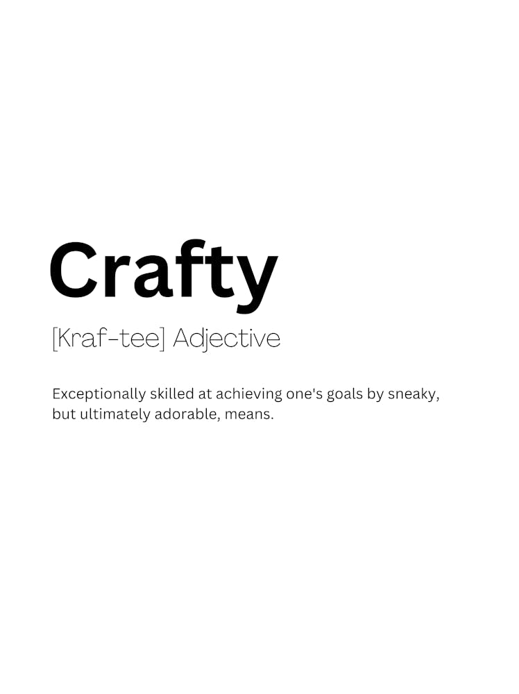 Crafty Definition Meaning