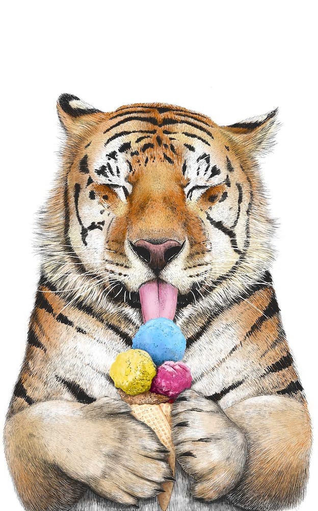 Tiger With Ice Cream