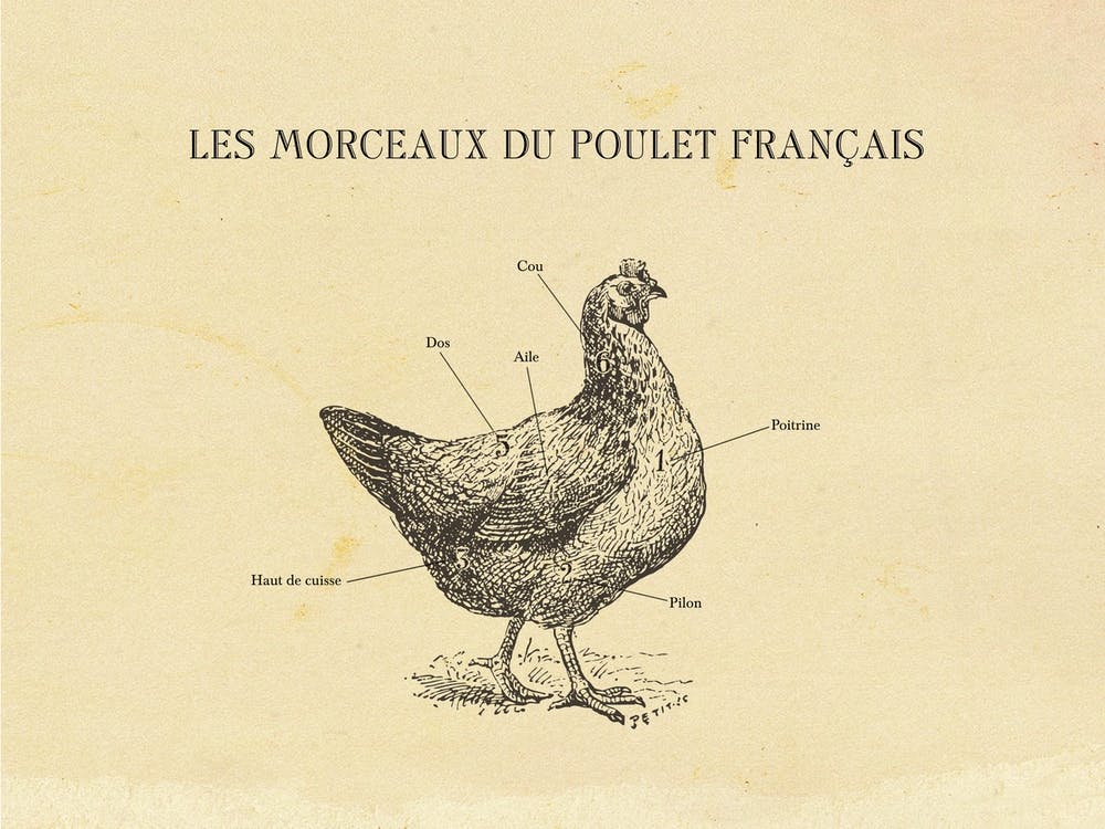 French Chicken Butcher Chart