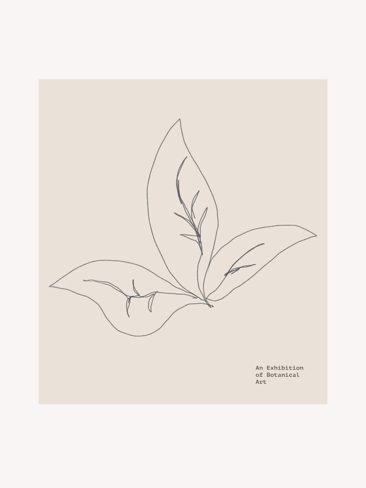 Pure forms no 36