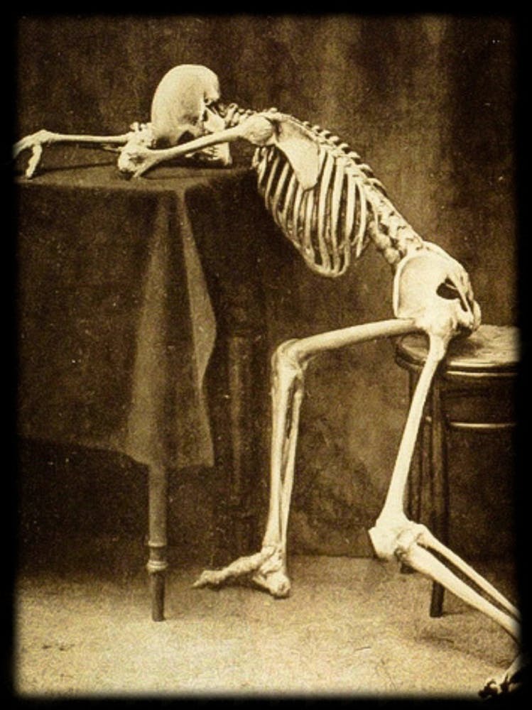 Drunk Skeleton by Albert Hasselwander - Skulls Dark Academia Biology Human Anatomy Wall Decor Funny Spooky Vintage Victorian Witchy Gothic Alcohol Weary Witchcore in Sepia
