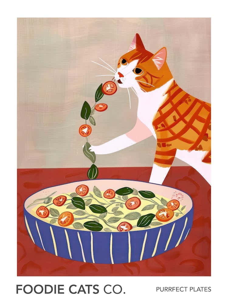 Foodie Cats Co Cat And Big Salad