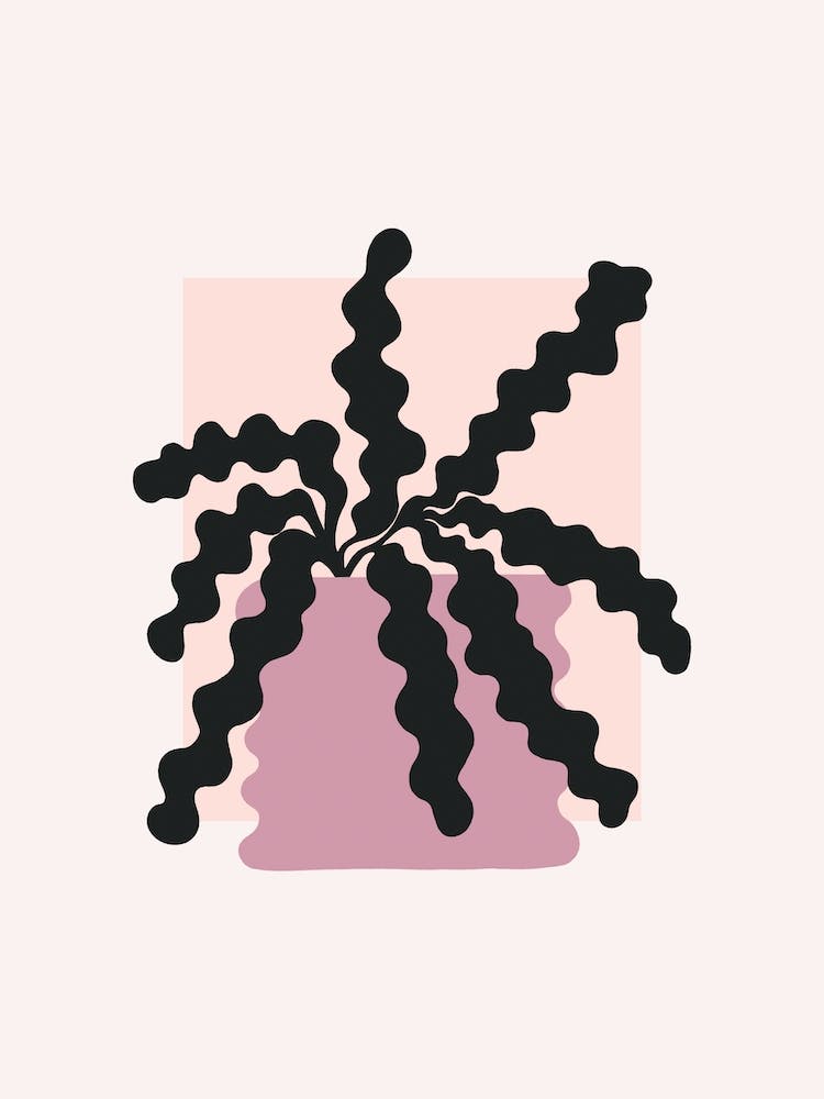 Home Vase