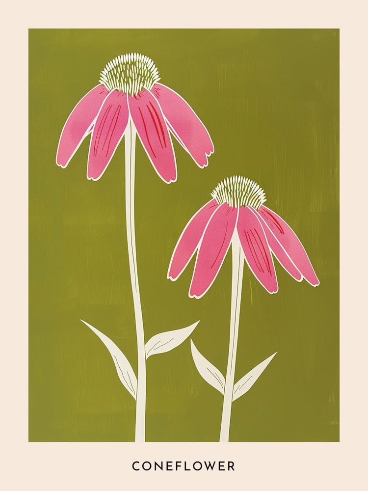 Pink & Green Coneflower 1 Flower Poster