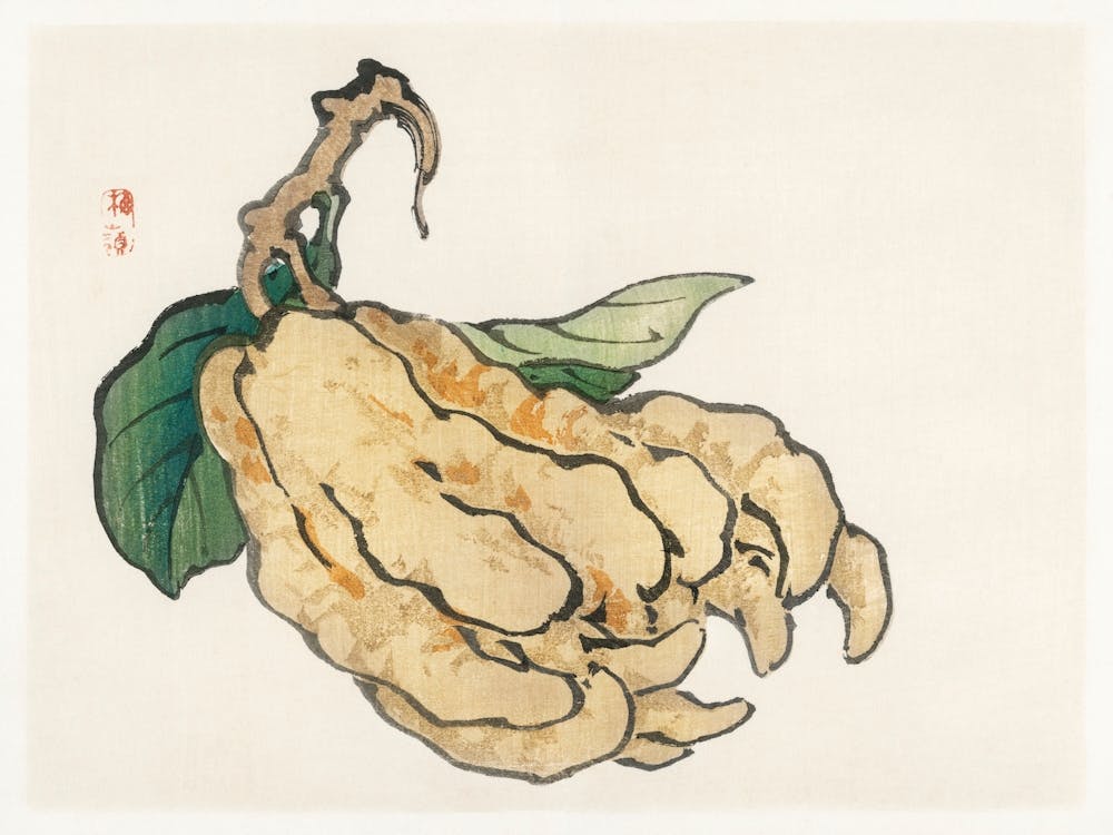 Etrog, Kōno Bairei