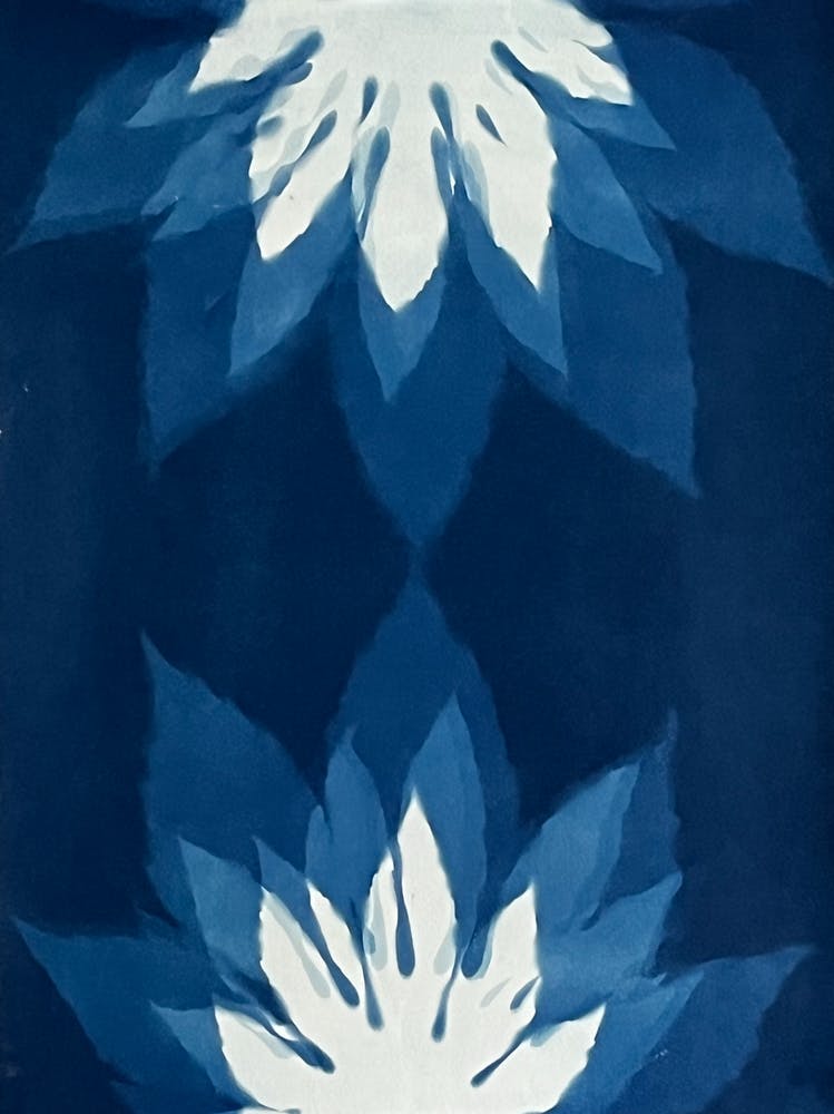 Blue abstract cyanotype print 2