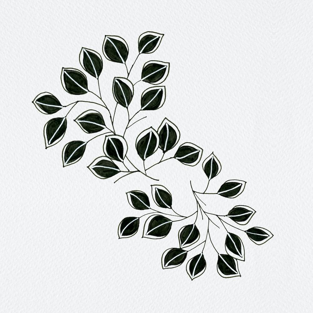 Flowing Leaves Black White