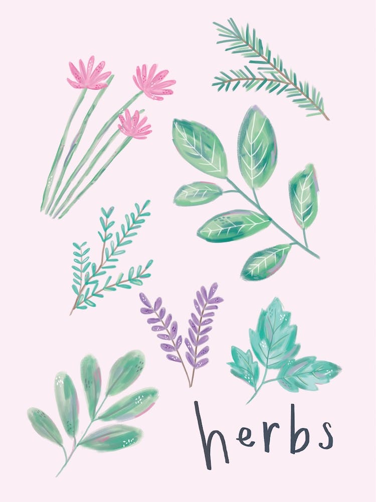 Herbs