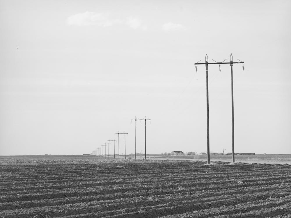 Untitled Photo, Possibly Related To Power Lines Along Highway In Dawson County, Texas By Russell Lee