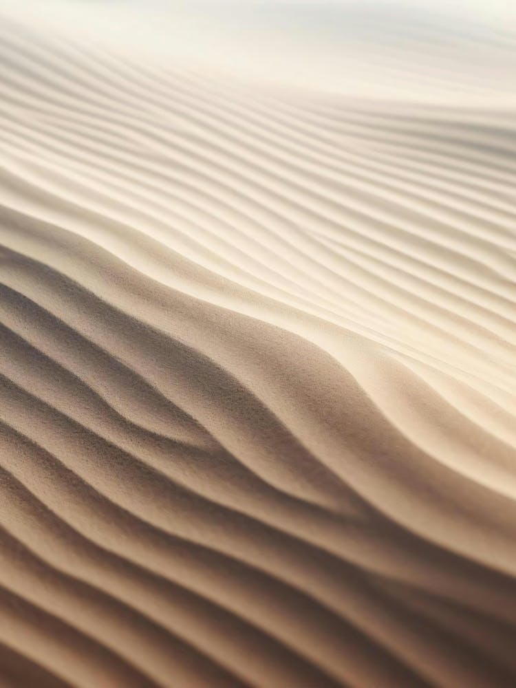 Sand Dune 1