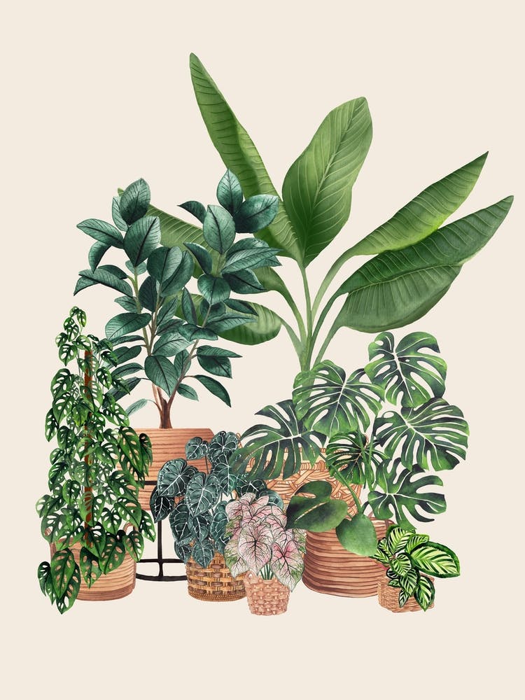 Plant Friends